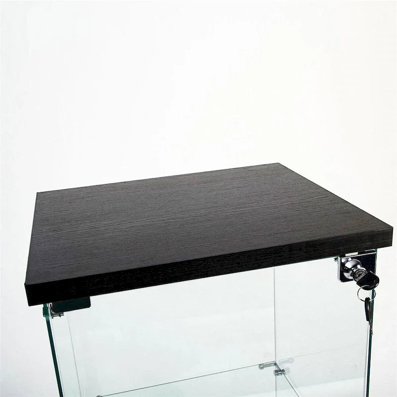 Vitrine en verre trempé, meuble de rangement, classeur avec éclairage LED